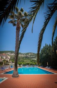 皮特拉利古Campeggio Pian Dei Boschi的游泳池前的棕榈树