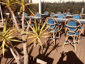 巴斯蒂亚桑浦日罗酒店的一棵椅子和一张桌子,一棵树