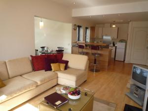 基洛格林Grove Lodge Holiday Homes (2 Bed)的带沙发和电视的客厅以及厨房。