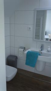 杜塞尔多夫杜塞尔多夫机场宾馆的一间带水槽、卫生间和镜子的浴室