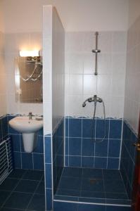帕廷斯Villa Patio的蓝色和白色的浴室设有水槽和淋浴