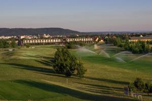 马达伯乐斯拉夫桑德马丁酒店的享有高尔夫球场和绿色美景