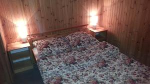 KobyłochaDomki Letniskowe Kobyłocha的一间卧室配有一张带两个灯的床