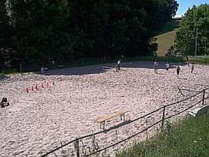 MörlenbachPferdehof und Wanderreitstation Dörsam的一群人在沙子里玩耍
