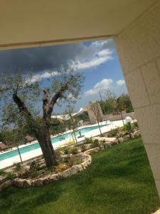 洛科罗通多Casolare di Pozzomasiello的庭院里一座带树的游泳池