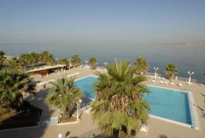 圣莱昂狄俄斯库湾宫殿酒店的一座棕榈树和海洋的大型游泳池