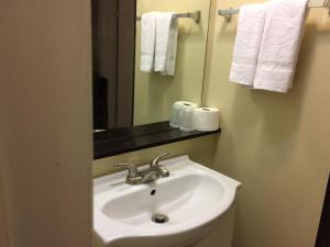 埃德蒙顿Nice Inn Edmonton的浴室配有盥洗盆、镜子和毛巾