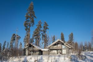 MuuramePyry ja Tuisku Cottages的雪中树下的小木屋