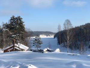 ReuskulaForrest Lodge Karelia的一座有雪覆盖的山丘,后面有湖泊