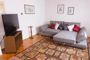 Plankstadt科尔公寓的带沙发和平面电视的客厅