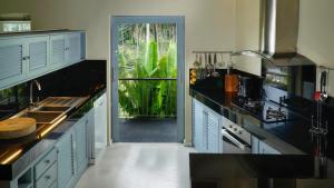 拉迈棕榈景观别墅的一间厨房,内配蓝色橱柜和一个大植物