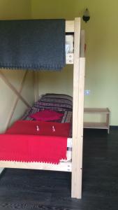 Apart-hotel Repino客房内的一张或多张双层床