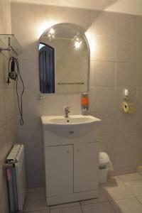 斯特拉科尼采斯波罗维膳食公寓的浴室设有白色水槽和镜子