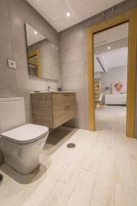 莱昂Apartamentos Inloft的一间带卫生间和水槽的浴室