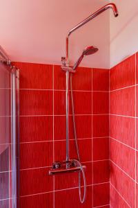 普莱诺Apartmani Nikola的红色瓷砖淋浴和淋浴头