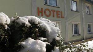 塔尔诺夫斯凯古雷Hotel Olimpijski的灌木丛被雪覆盖在酒店前