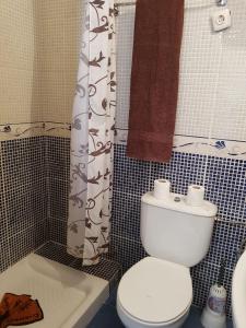 莫罗德哈布雷Hostal Maxorata的一间带卫生间和淋浴帘的浴室