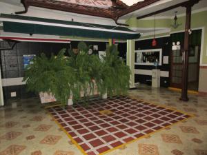 布加Hotel Don Juan的大堂铺有瓷砖地板,种植了盆栽植物