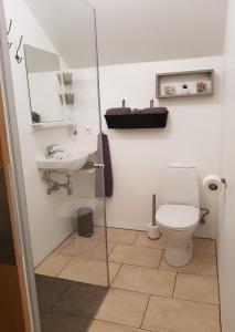 伊萨菲尔德Sigurhæð - Apartment with all within your reach的一间带卫生间和水槽的浴室