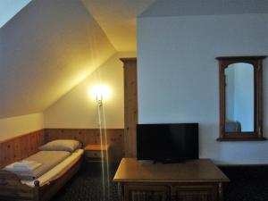 林道灵多尔巴登海景酒店的一间卧室配有一张床和一张桌子上的电视