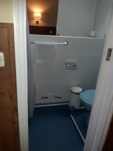 马德里Hostal Asunción的一间设有卫生间的小浴室,铺有蓝色的地板