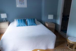 WalcourtConfluences的一间卧室配有白色的床和2个蓝色枕头