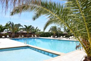 阿尔考斯布里卡姆平瑞巴马尔酒店的一座棕榈树和椅子的大型游泳池