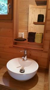 奥雷勒La cabane du pommier的小屋内的浴室设有白色水槽