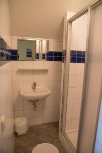 萨尔茨堡尤霍- 国际青年旅舍的一间带水槽、卫生间和淋浴的浴室