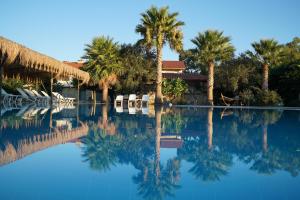 达特恰弗洛达特卡冲浪及海滩酒店的棕榈树游泳池及度假村
