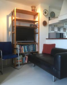 梅登布利克Vissershuisje / old fishermans house的带沙发、电视和书架的客厅