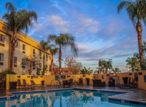 科尔顿艾罗海德贝斯特韦斯特优质酒店的棕榈树酒店前的游泳池