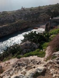 滨海波利尼亚诺Villa Portalga al mare的一条河,在岩石上有一群仙人掌