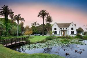 乔治The Manor House at Fancourt的池塘里鸭子的白色房子