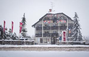 多姆扎莱克朗多姆扎莱酒店的雪中一座大建筑,挂着旗帜