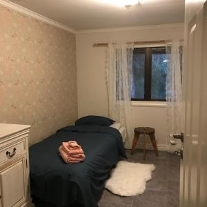 ForshagaLillemyrsgården的一间卧室设有一张床和一个窗口
