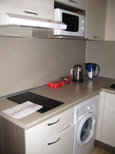 圣彼得堡Студия у метро Московская的厨房配有洗衣机和微波炉。