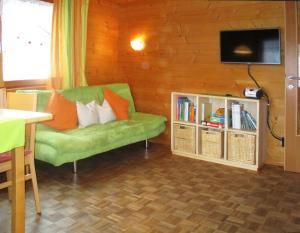 安德尔斯布赫格里博公寓的客厅配有绿色沙发和电视