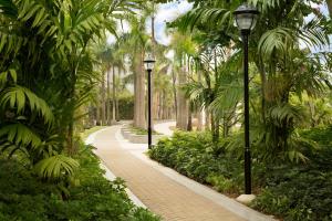 珠海珠海金石凯悦嘉轩酒店的一条穿过棕榈树和路灯的公园的小路
