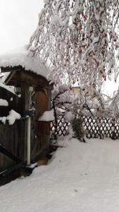 Campodenno仙女住宿加早餐旅馆的围栏旁的雪覆盖的树