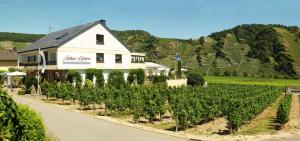 皮斯波尔特Kettern Urlaub的葡萄园在白色房子前面,放着一束葡萄