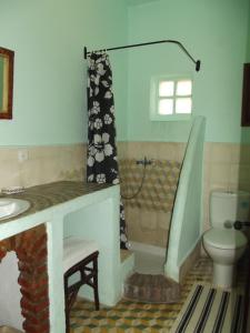 TaghzouteCaiat Lounge Refuge的带淋浴、卫生间和盥洗盆的浴室
