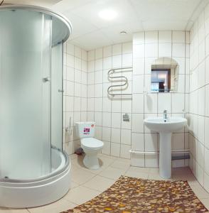 鄂木斯克Hotel Na Svetlom的带淋浴、卫生间和盥洗盆的浴室