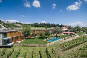 CervãesTorre de Gomariz Wine & Spa Hotel的葡萄园内带游泳池的房子