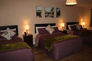 杜林O'Learys Lodge的酒店客房设有两张床和两盏灯。