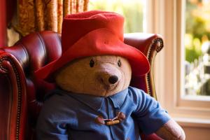 巴克斯顿Roseleigh的戴红帽的泰迪熊坐在椅子上