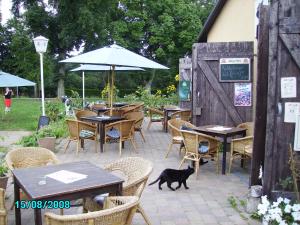 KargowDie bunte Kuh in Federow的一只黑猫在带桌椅的庭院里散步