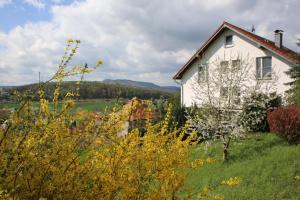 TreffurtHotel Waldblick的绿色田野顶上的白色房子