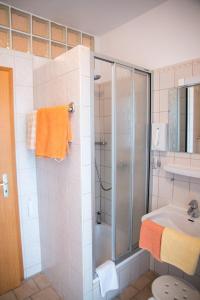 多瑙河畔迪林根加尼特鲁姆酒店的带淋浴和盥洗盆的浴室