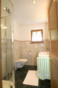 马克特谢伦贝格Ferienwohnungen Zweckl的浴室配有卫生间、盥洗盆和淋浴。